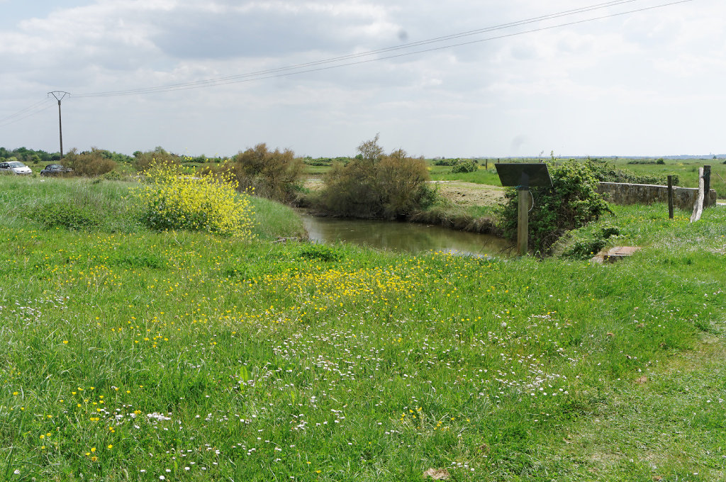 Paysage de marais salés