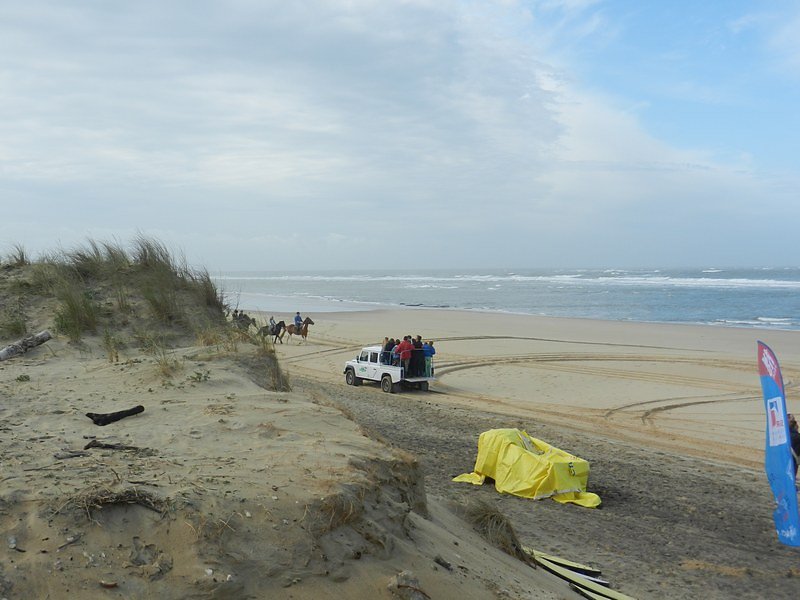 Transport du public sur la pointe du Rhin