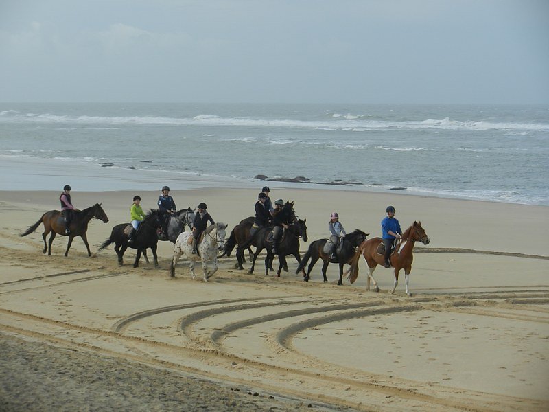 des cavaliers heureux