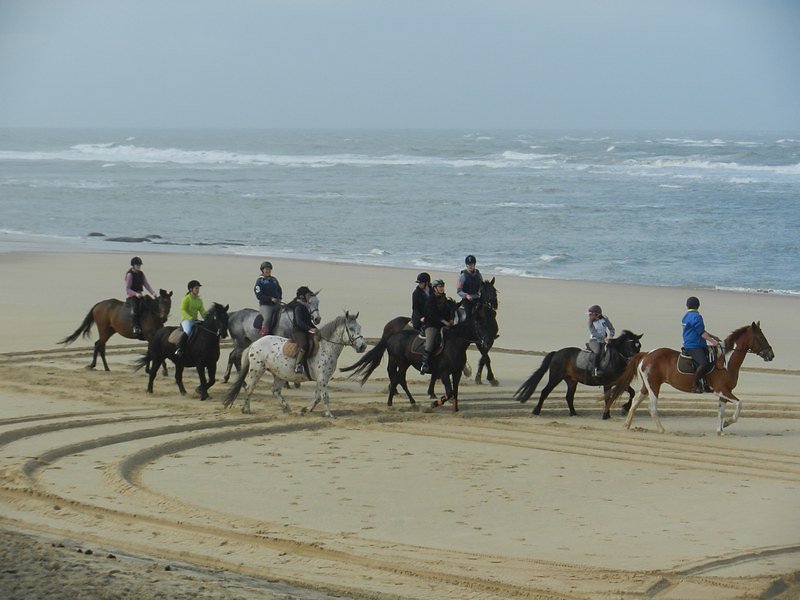 à piedà cheval, en voiture,