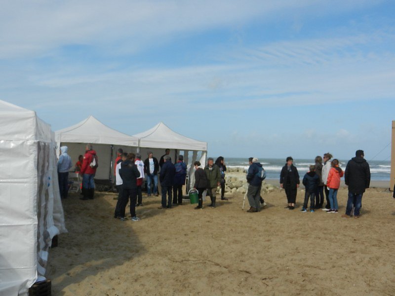 file d'attente du public 