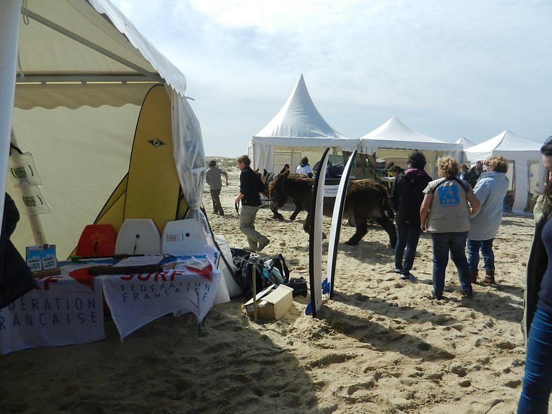 le Club de Surf aussi, présent  sur le terrain 