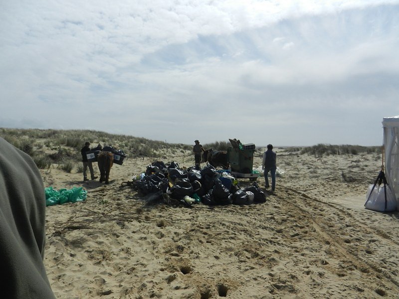 tas de sacs de déchets (60%plastique)