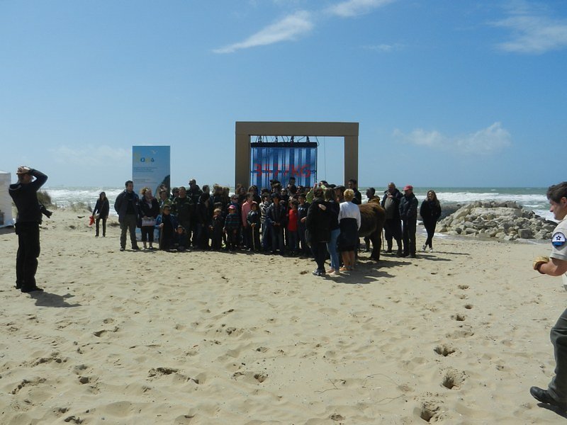 4,2 Tonnes de déchets collectés !