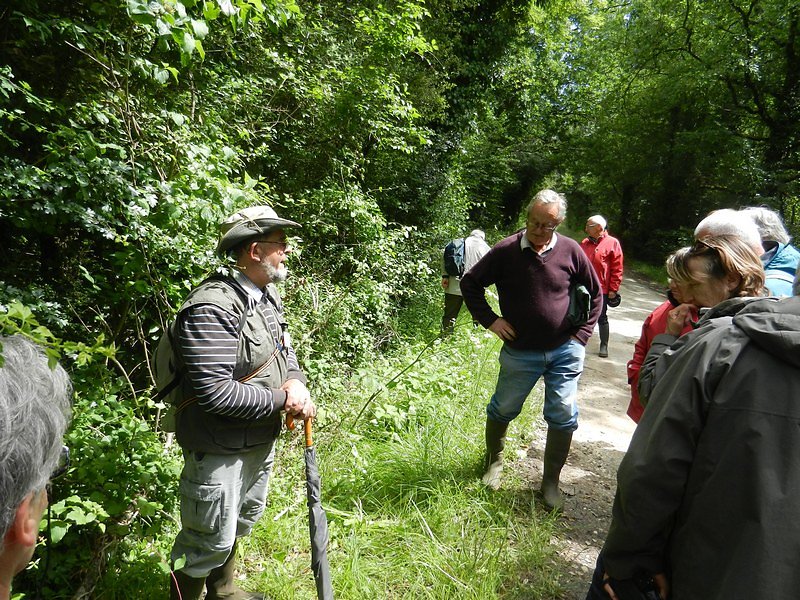 explications de Jean Claude