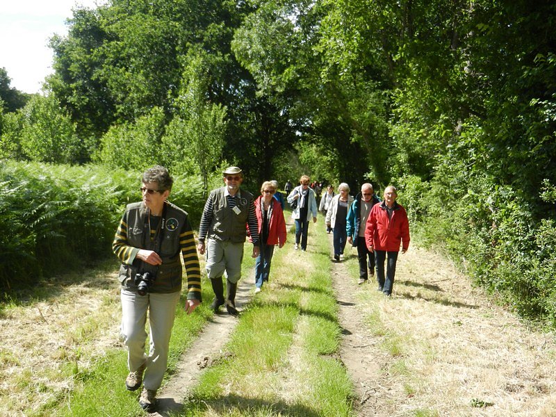 belle sortie et temps agréable, ouf...