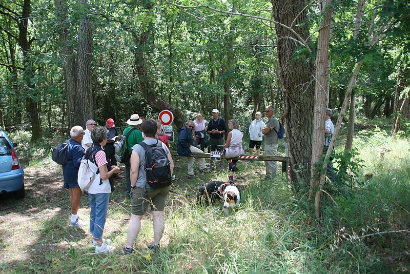 le groupe d'une vingtaine de personnes