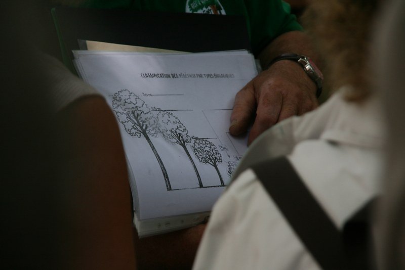 les différentes espèces en présence