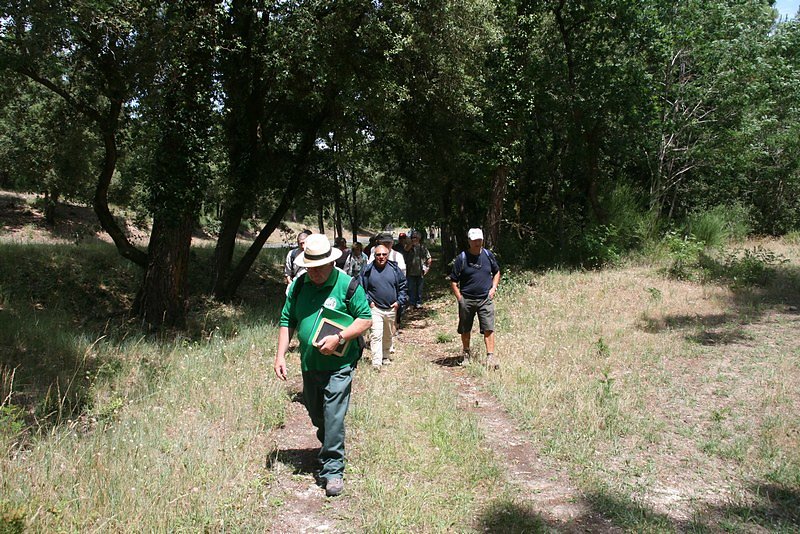 le groupe en progression