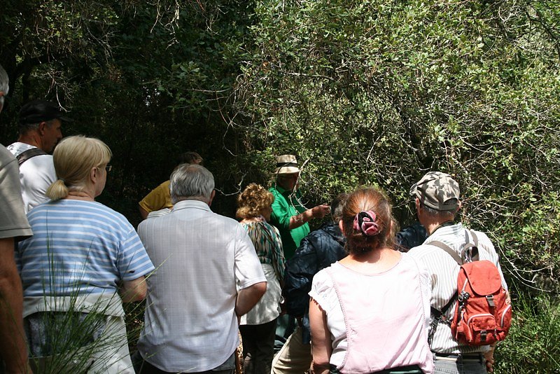 On écoute et on regarde