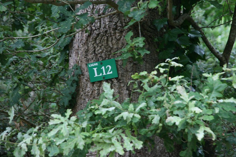 Signalétique de la forêt