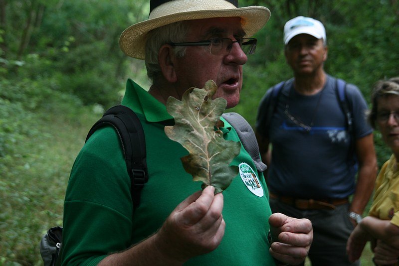 effet de la pollution