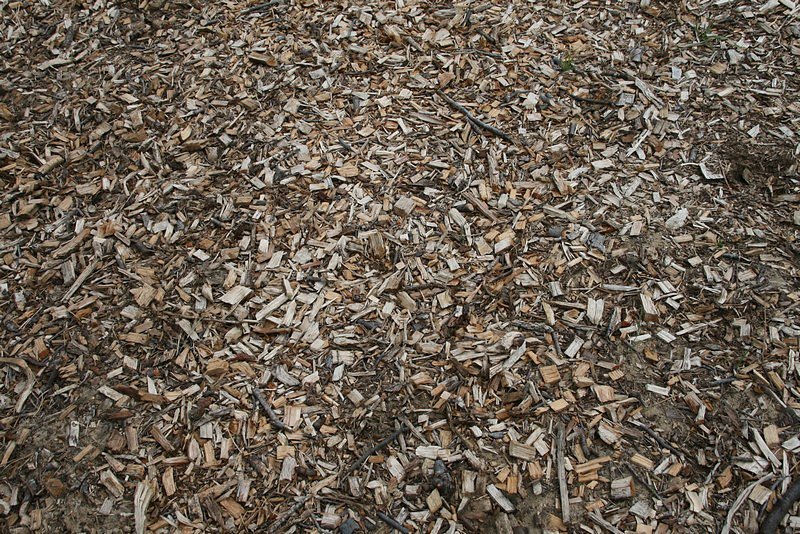 végétation broyée