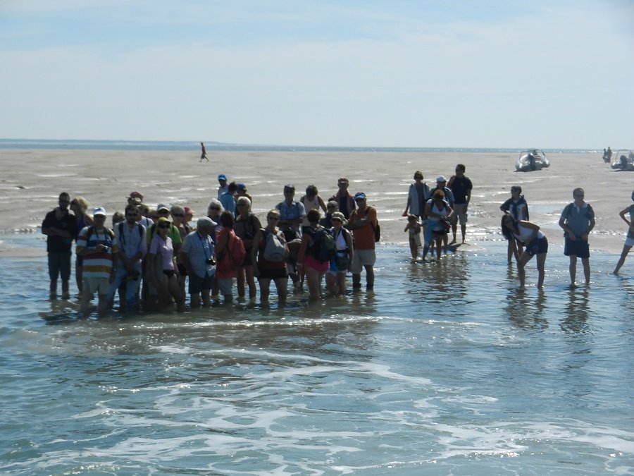 attente navette de retour
