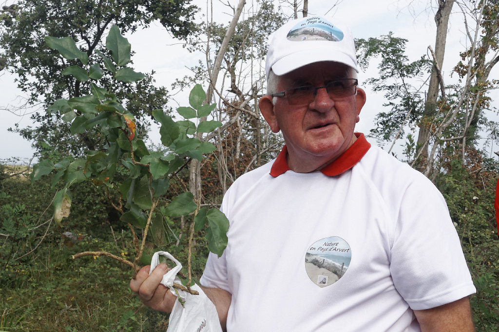 Notre guide botaniste