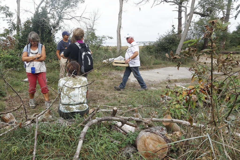 Encore des choses à découvrir