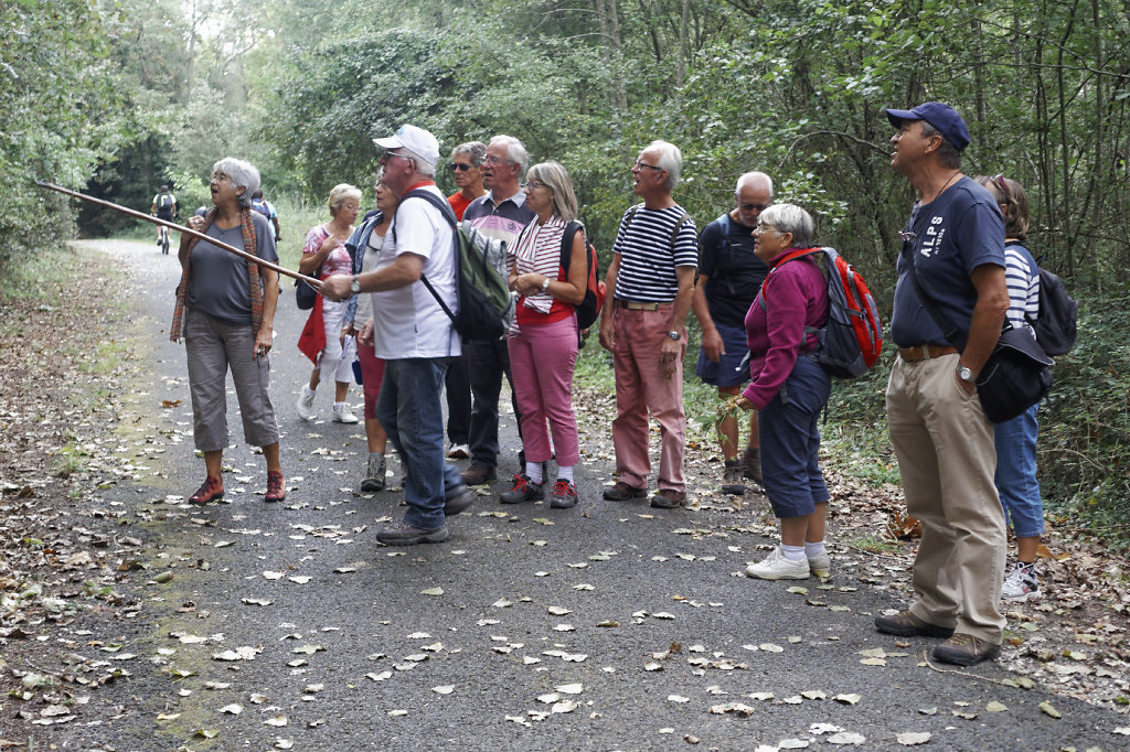 Encore des explications