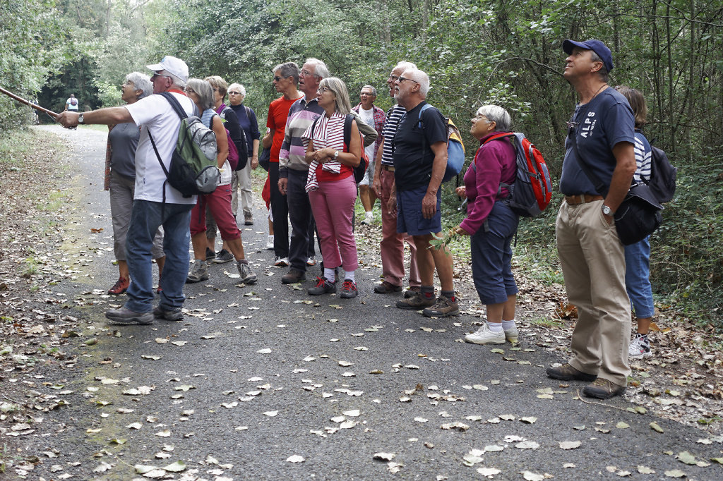 Sur le chemin du retour