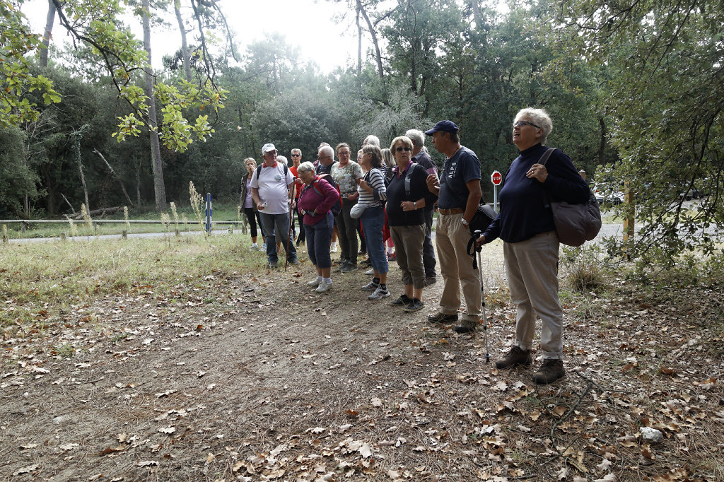 Premières explications