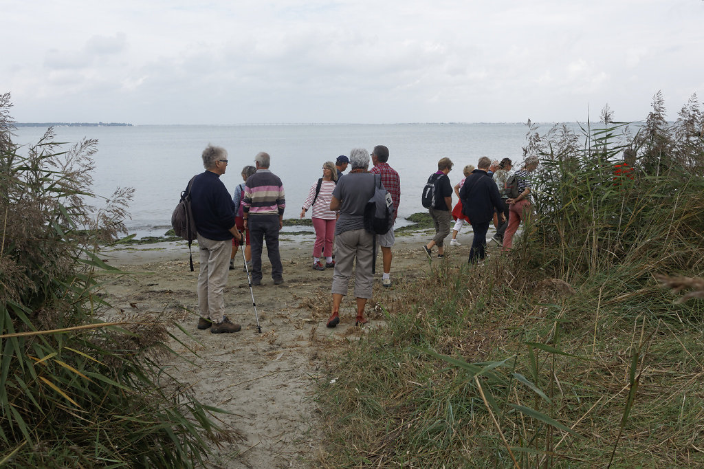 La baie du Galon d'Or