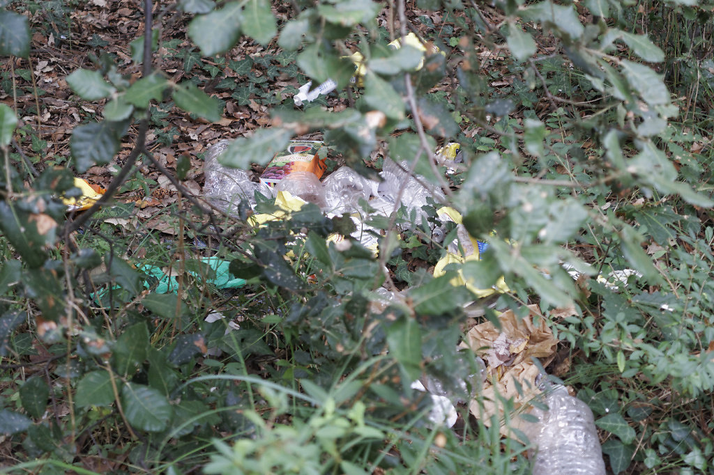Déchets en forêt