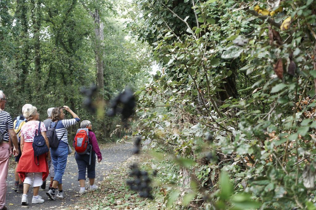 On reprend la piste cyclable