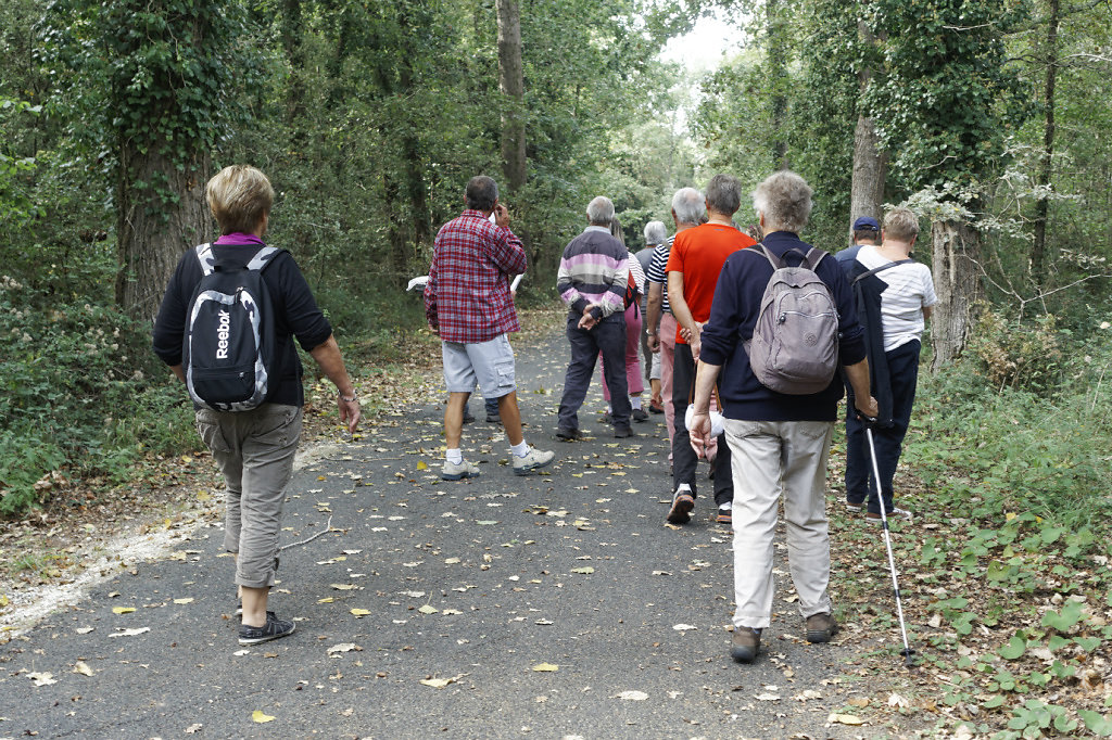 Toujours des choses à observer
