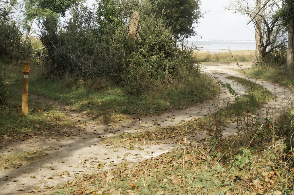 Un chemin vers la mer