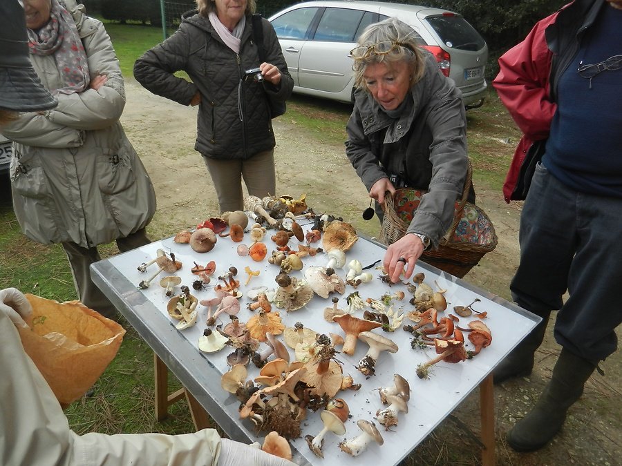 la table se garnit de plus en plus