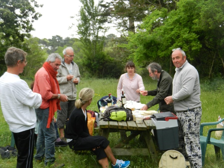 pique-nique avant le travail d'élimination des ailantes à l'école de la forêt