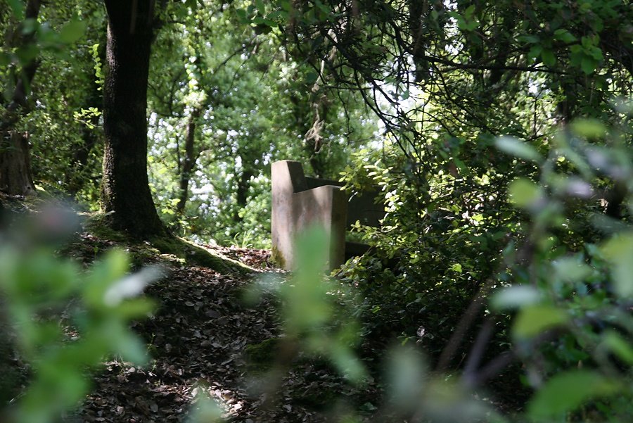 Vieux banc d'où l'on observait la mer en 1960