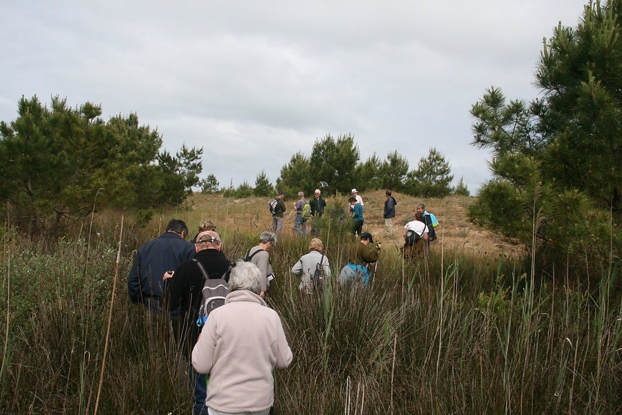 cuvette et dune de protection