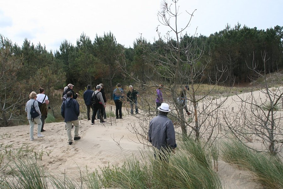 dune de protection en régression