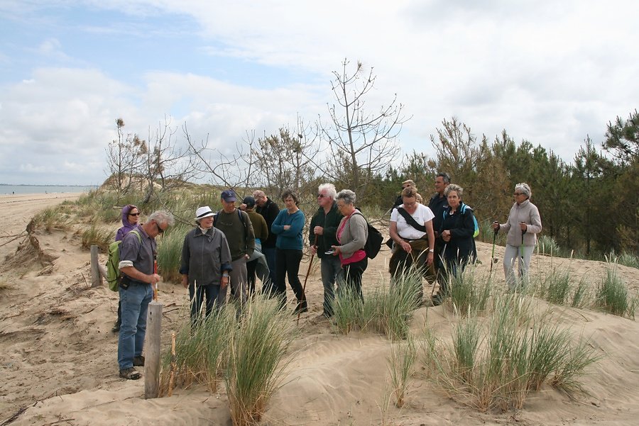 la dune blanche rempart de protection de la forêt
