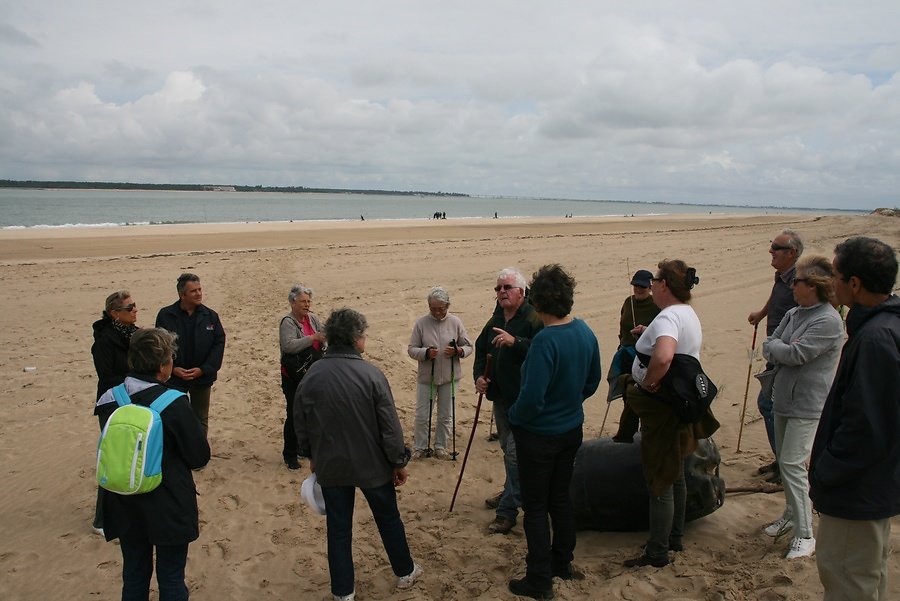 évolution du trait de côte