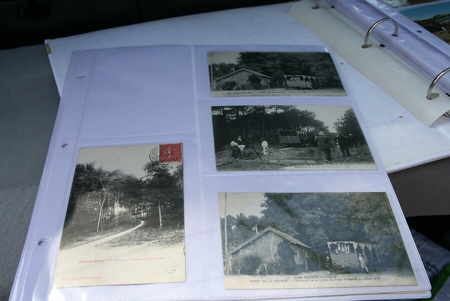 des cartes postales anciennes illustrant la vie en forêt