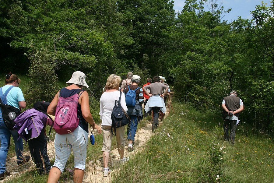 groupe en progression