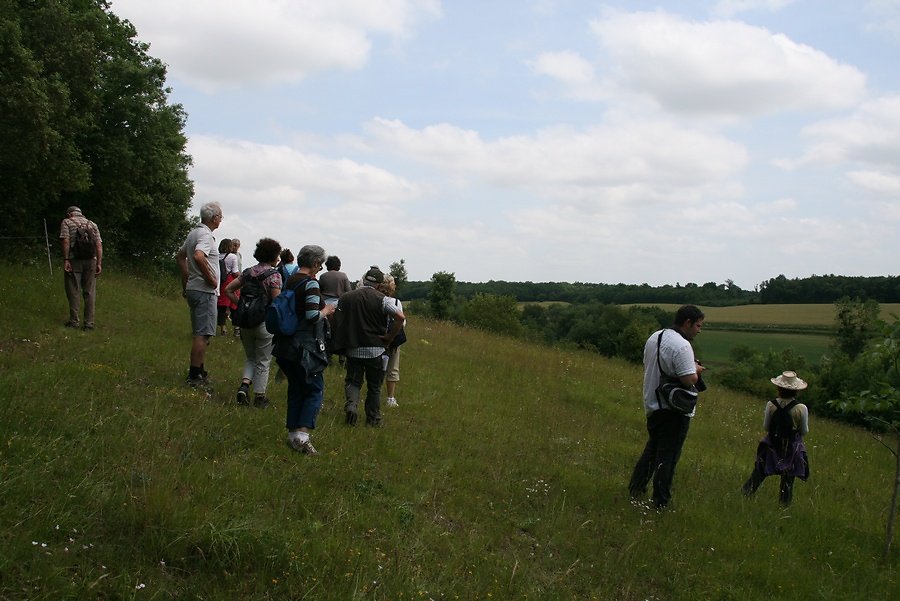les coteaux zone protégée