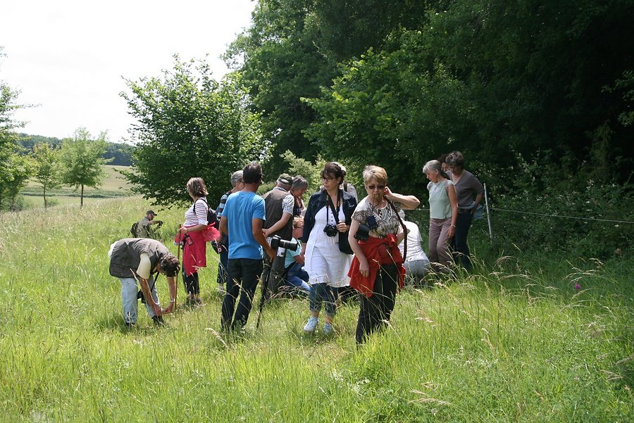 groupe à la recherche d'ombre