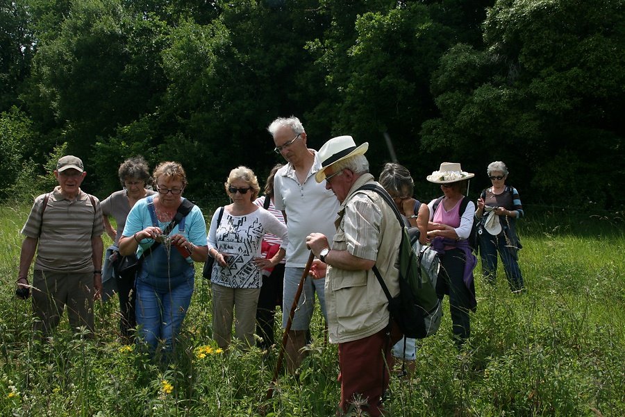 explications de Jean François
