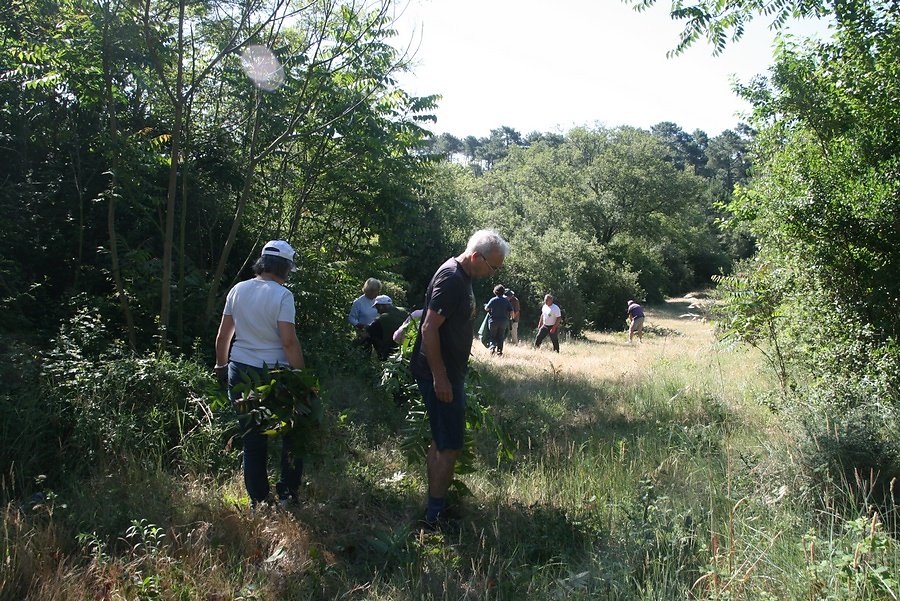 au travail sous un soleil ardent