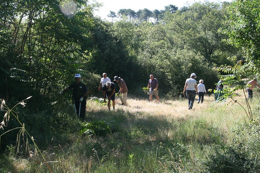 traitons les allées