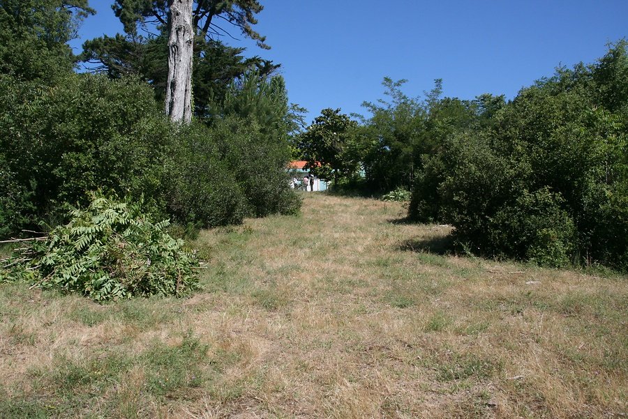 2 gros tas le long de l'allée principale