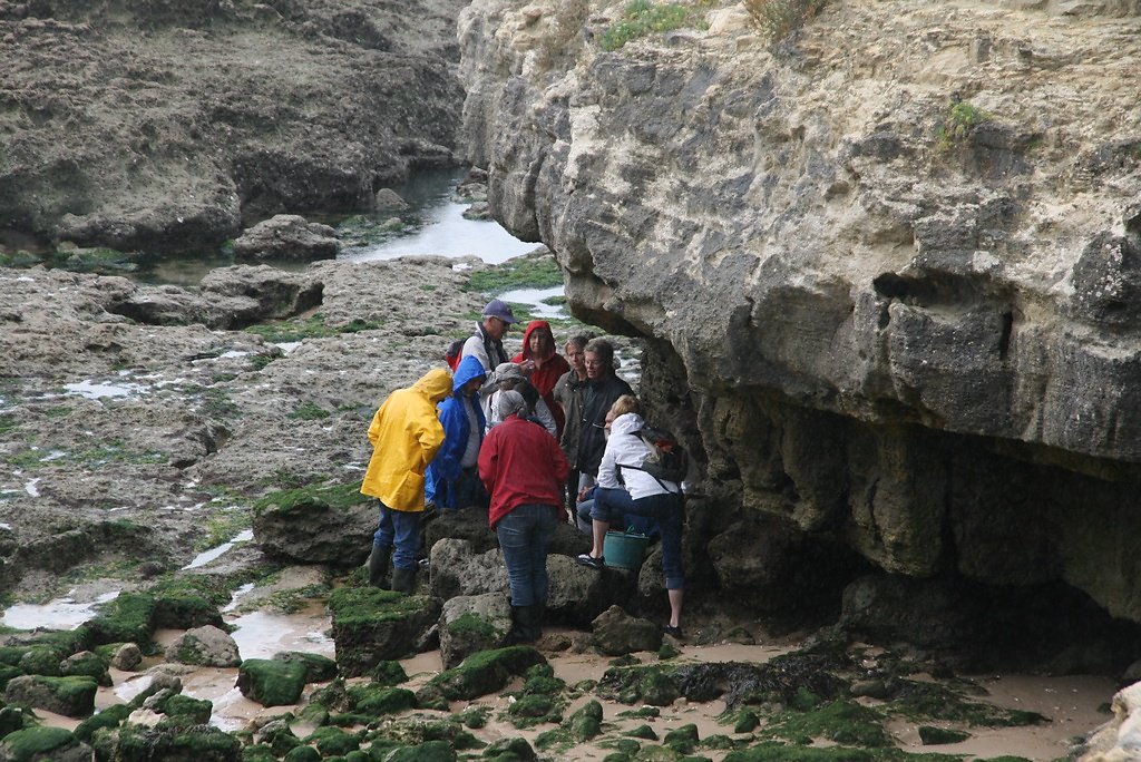 un abri pour le grain qui passe