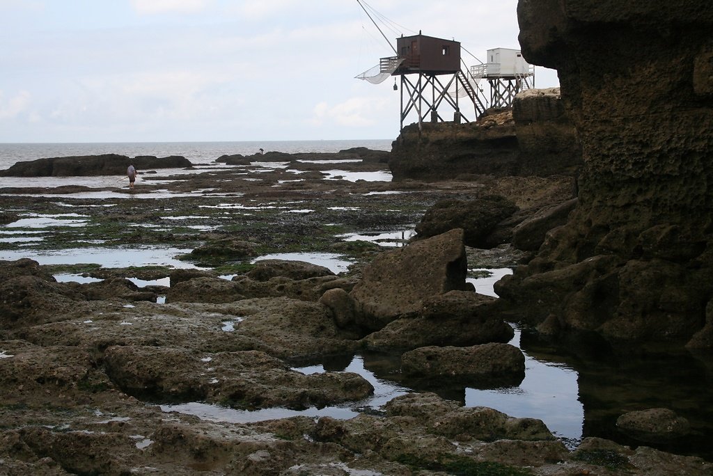 un milieu à étages riche