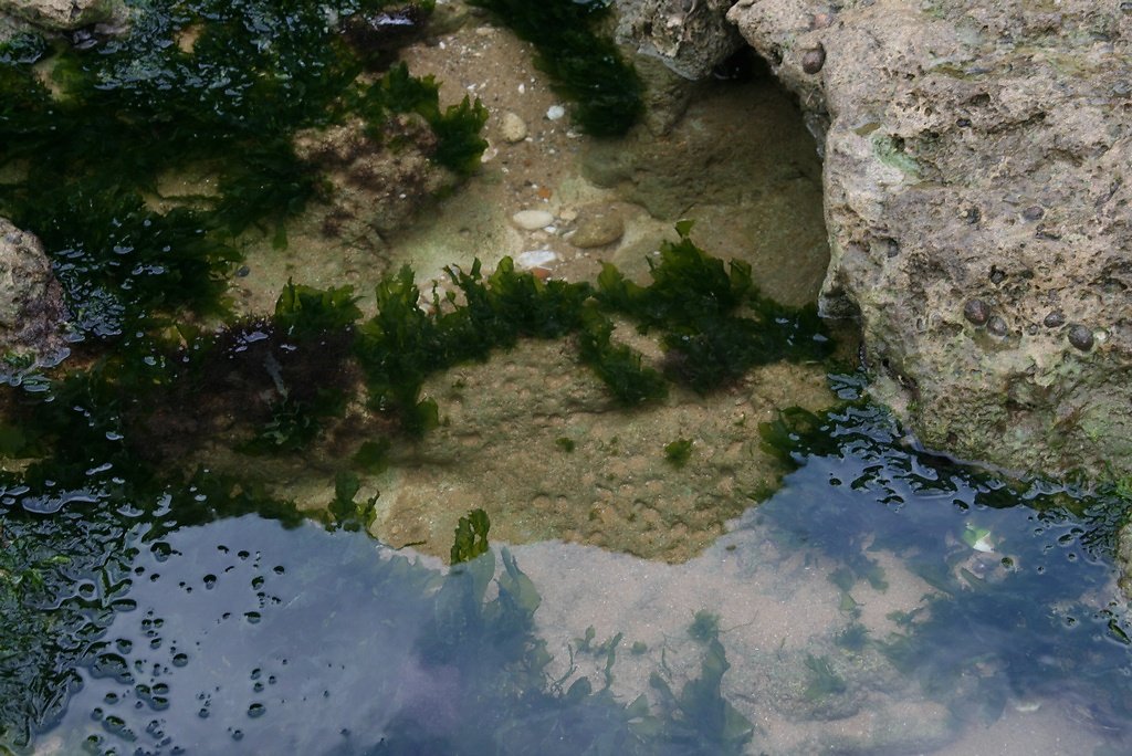 trou d'eau accueillant