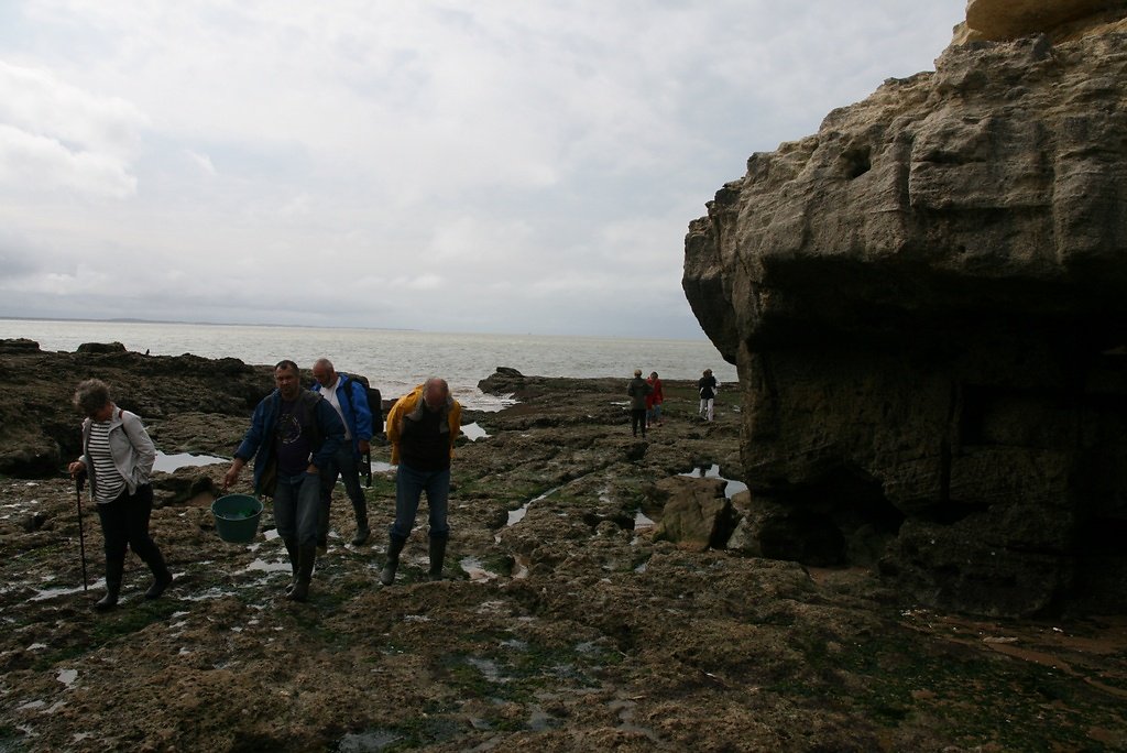 la mer monte, il est temps de rentrer