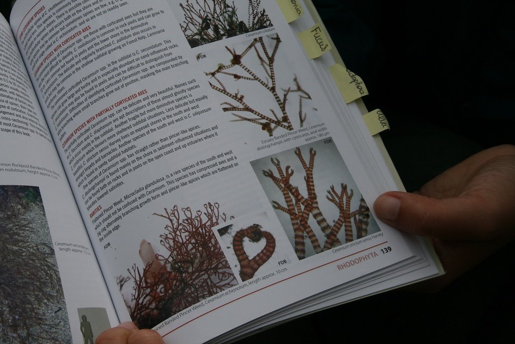 merci Julie pour toutes tes explications très intéressantes