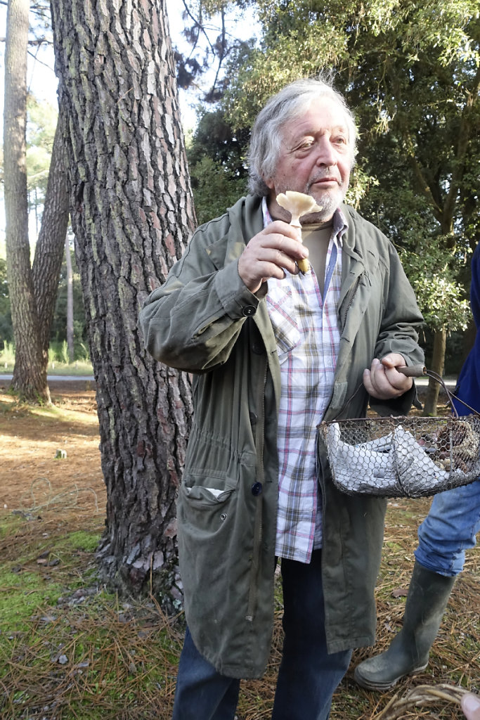 Guy Dupuy nous présente une armillaire couleur de miel