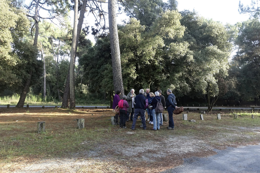 Toujours des explications 